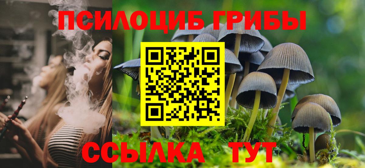 Галлюциногенные грибы Cubensis  Вход с VPN  Галлюциногенные грибы Psilocybe  Усинск 